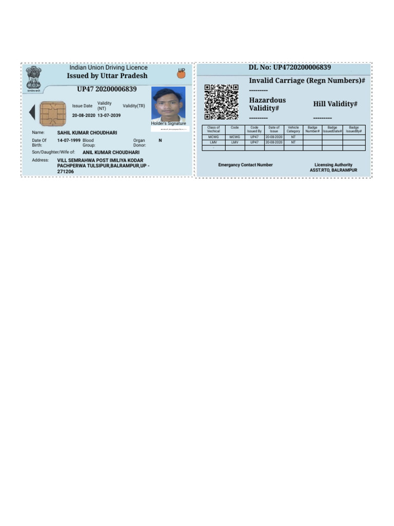 Driving License (1) | PDF