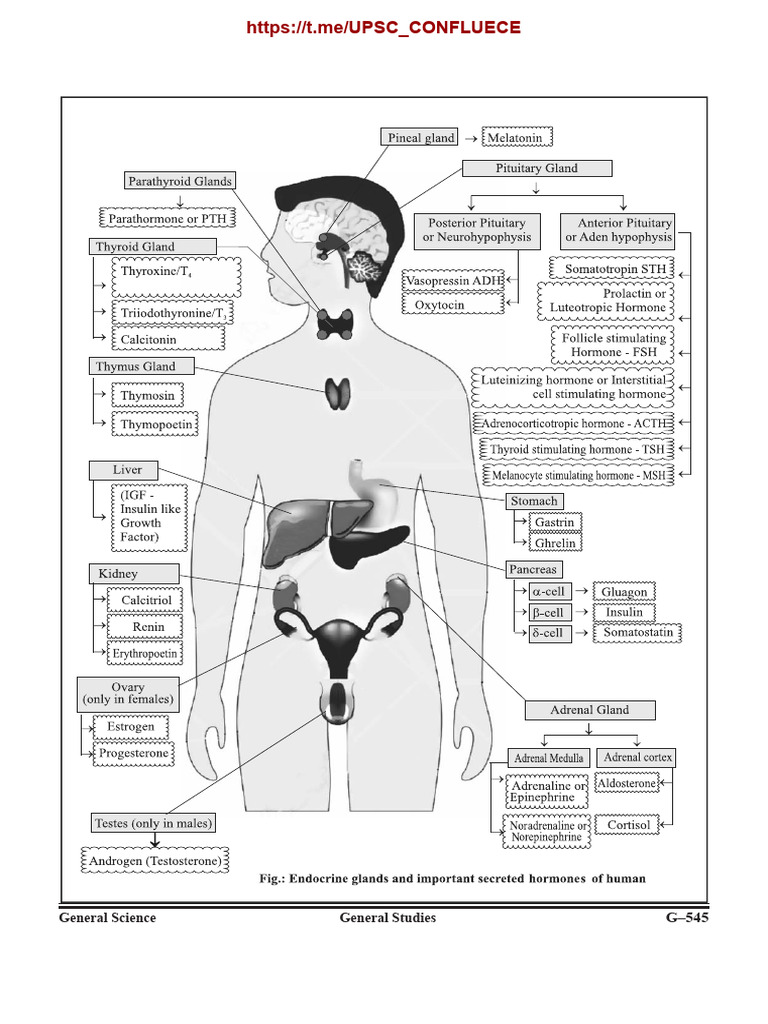 06 General Science Pages 3 14 | PDF | Pancreas | Endocrine System