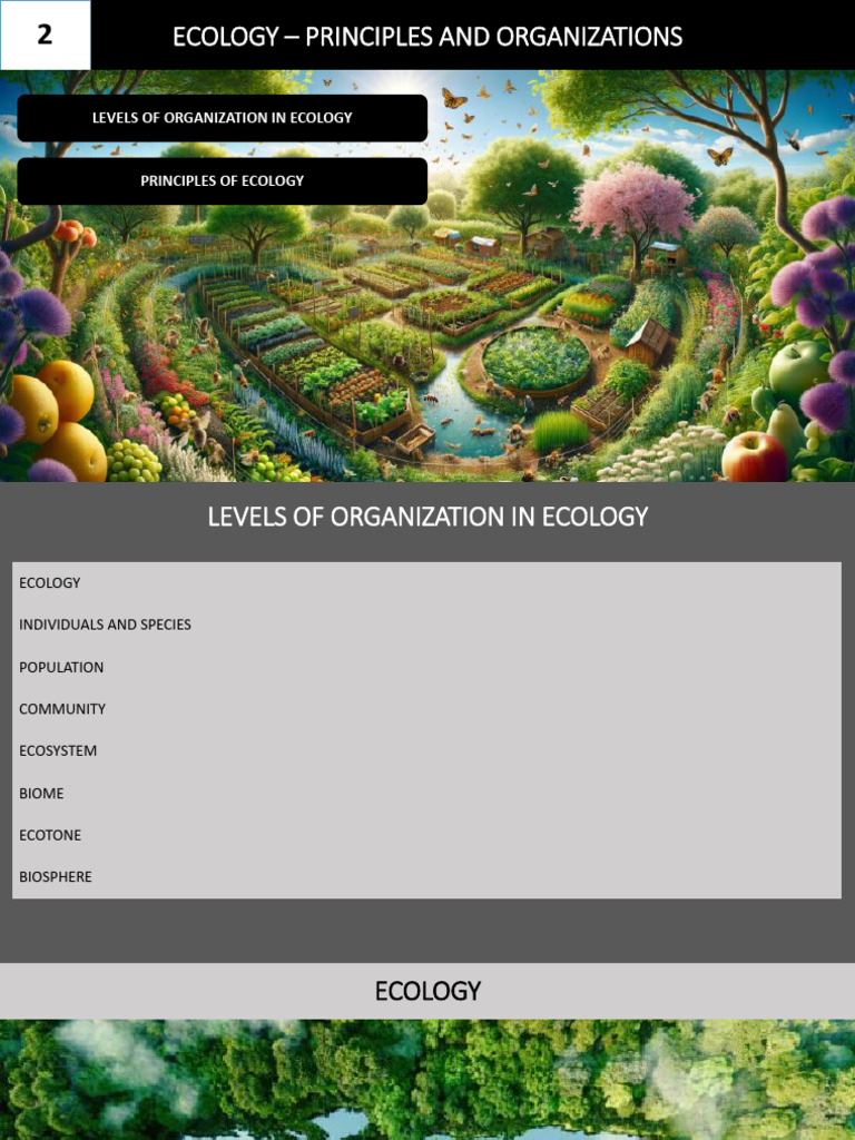 Environment v3 | PDF | Food Web | Estuary