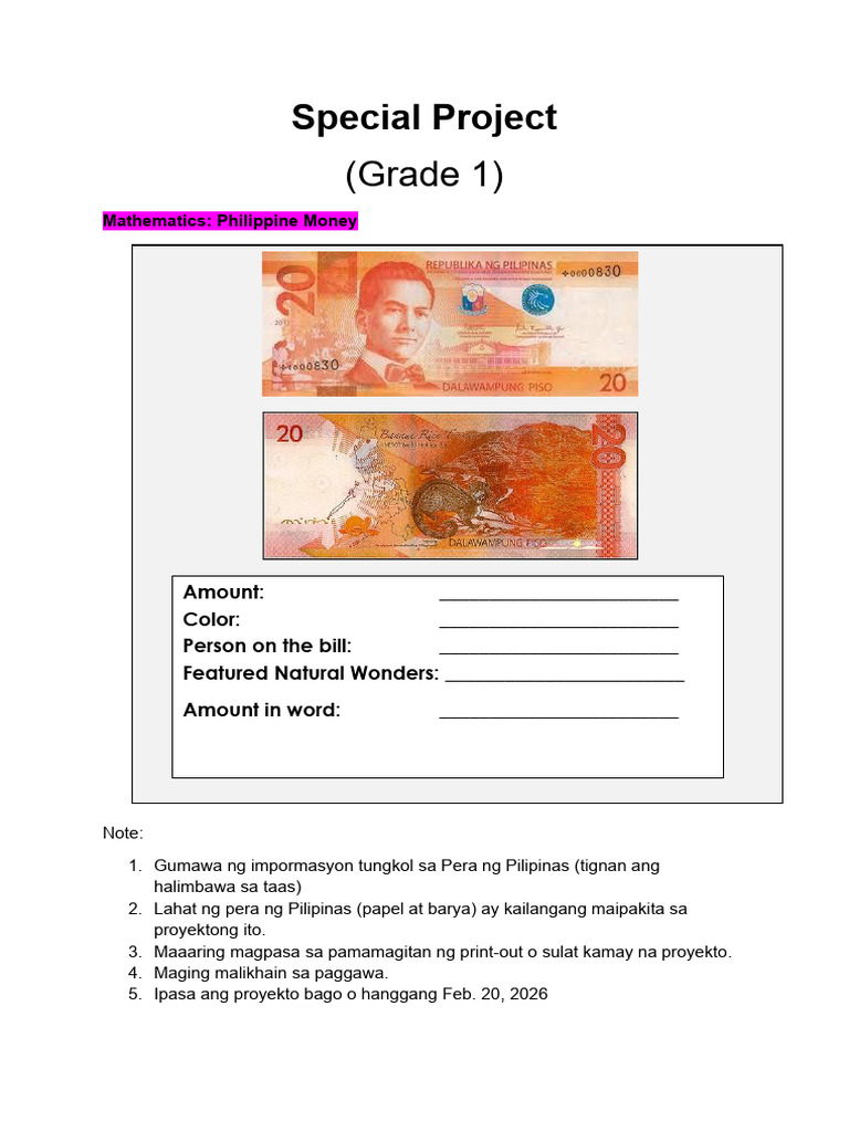 Special Project | PDF