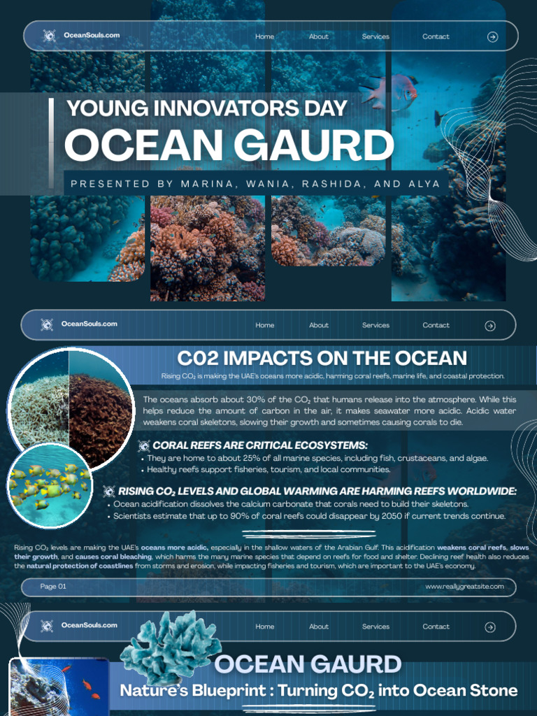 Yid - Ocean Guard | PDF | Coral Reef | Coral