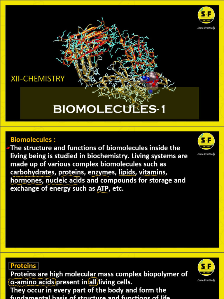 Biomolecules - 1 | PDF
