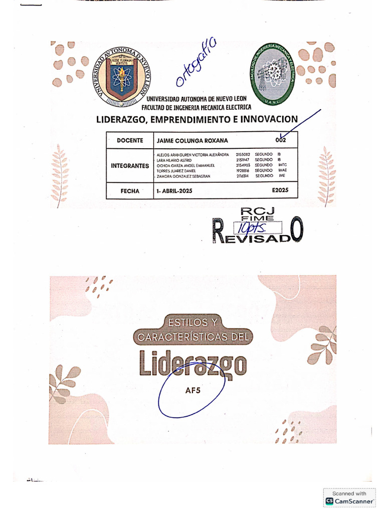 AF5 Liderazgo | PDF