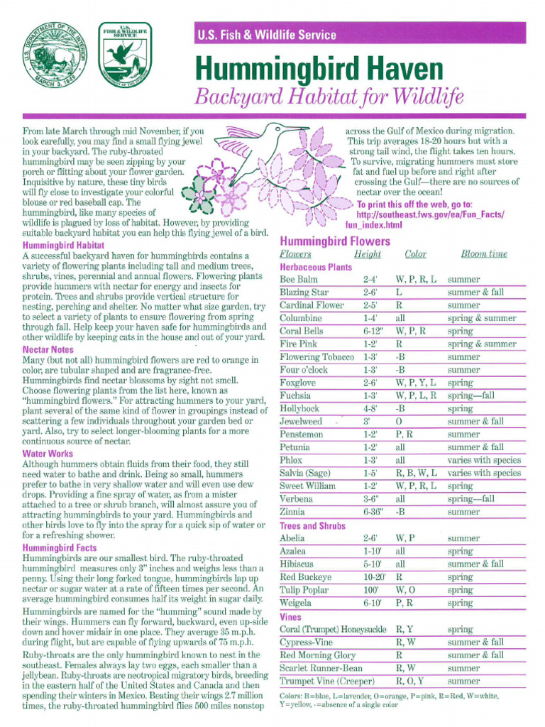 Hummingbird | PDF