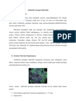 Download Antibiotik Golongan Makrolida by Lutfi Riyadi SN99690846 doc pdf