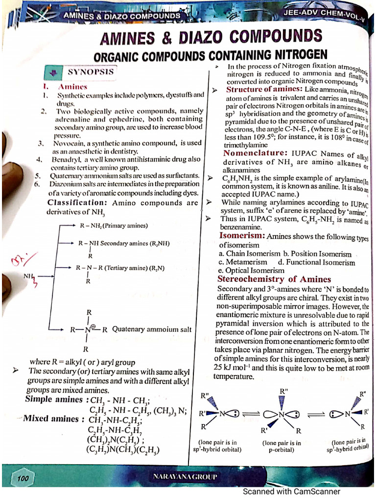 Amines Theory | PDF