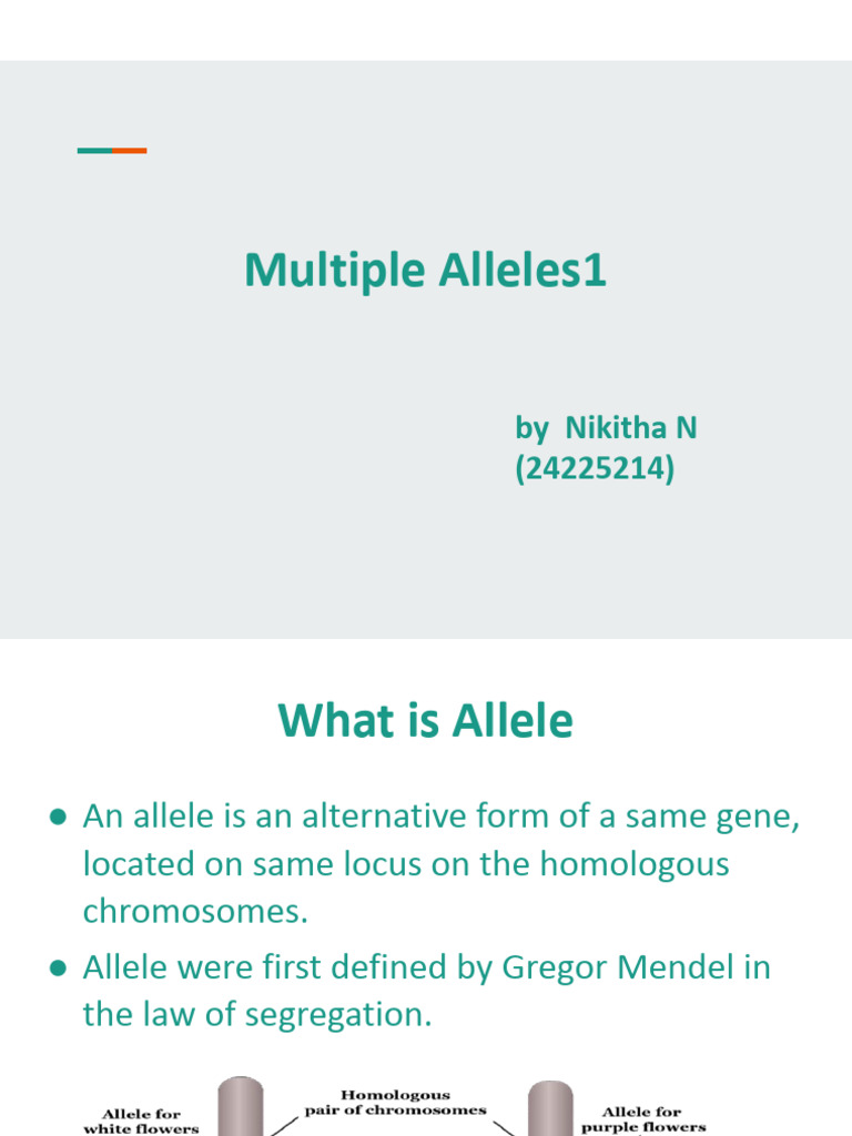 Multiple_Alleles_Presentation | PDF | Allele | Dominance (Genetics)