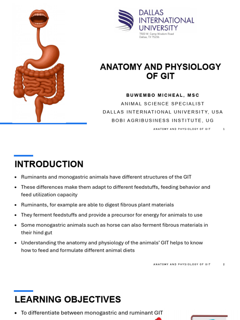 Lesson 1 Anatomy and Physiology of GIT | PDF | Digestion ...