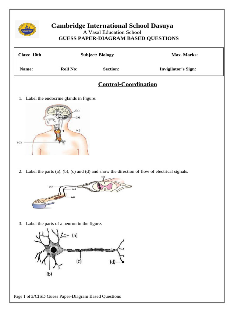 Guess Paper-Diagram Based Questions | PDF | Flowers | Fertilisation