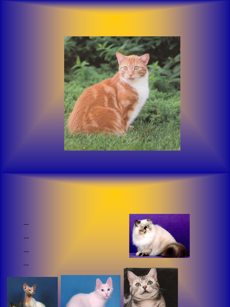 Colores Del Gato | PDF | marrón