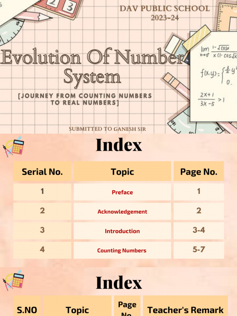 Evolution of Numbers | PDF
