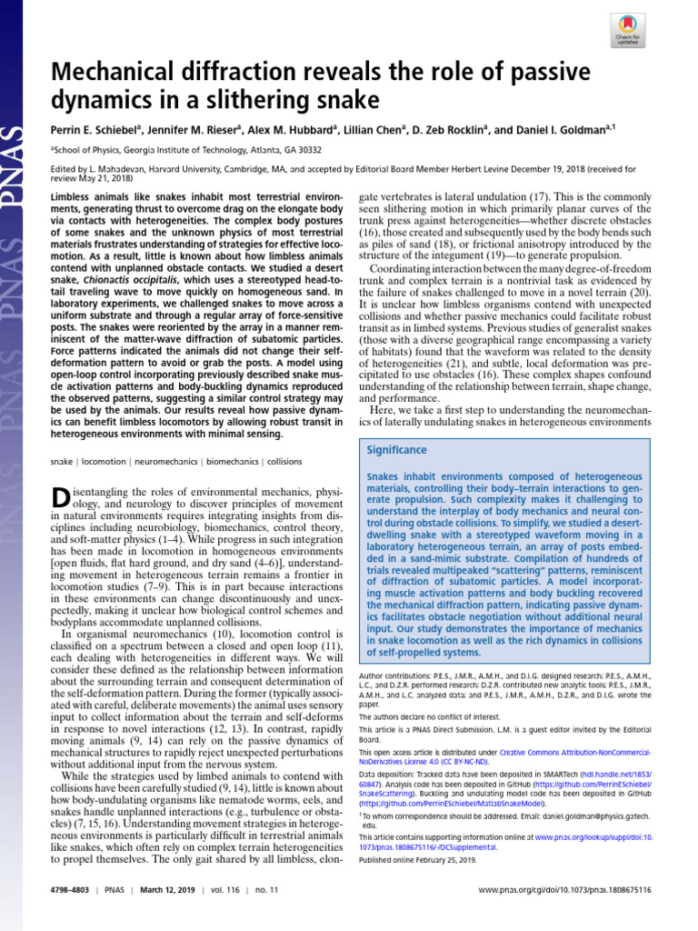Schiebel Et Al 2019 Mechanical Diffraction Reveals The Role of Passive ...