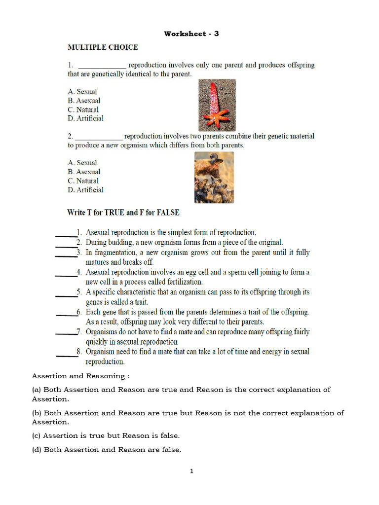 Reproduction Worksheet 4 | PDF