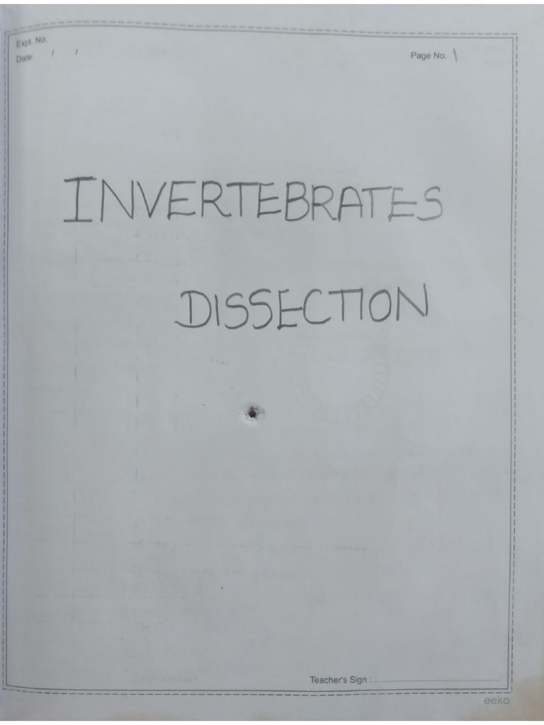 Invertebrates Dissection and Mounting | PDF