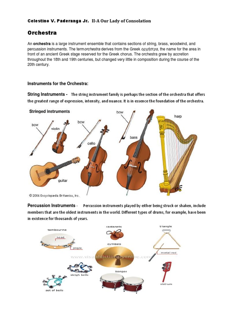 Orchestra PDF Woodwind Instruments Musical Instruments