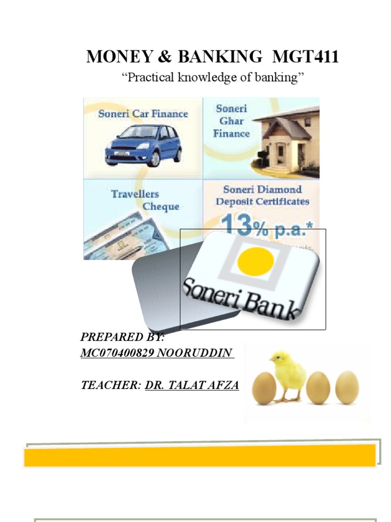 Money and Banking Project Soneri Bank Deposit Account Non Bank Financial Institution