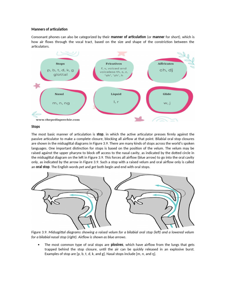 Mannners of Articulation | PDF | Phonetics | Human Voice