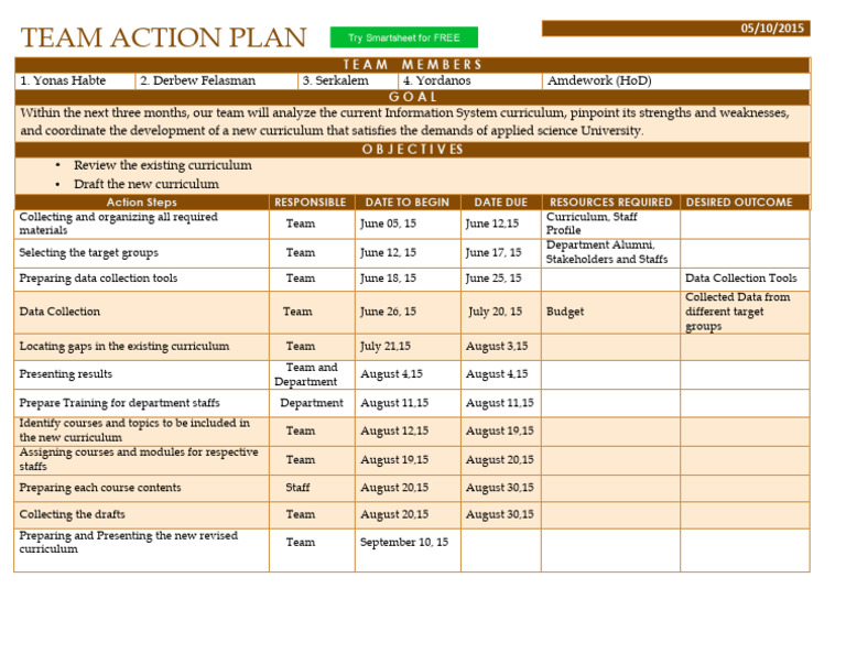 Team Action Plan | PDF | Curriculum