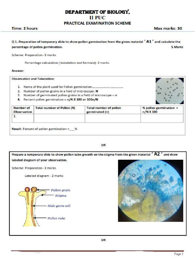 II Pu Biology Practical Ans Key - 001 | PDF
