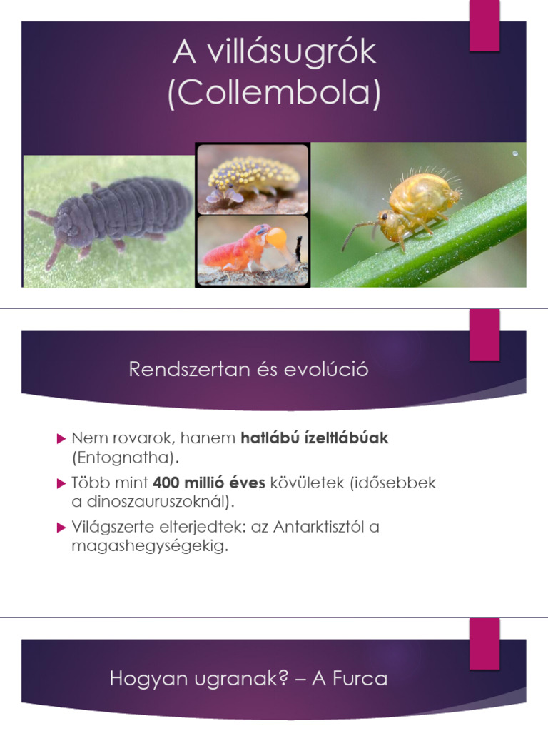 XFGHJ | PDF