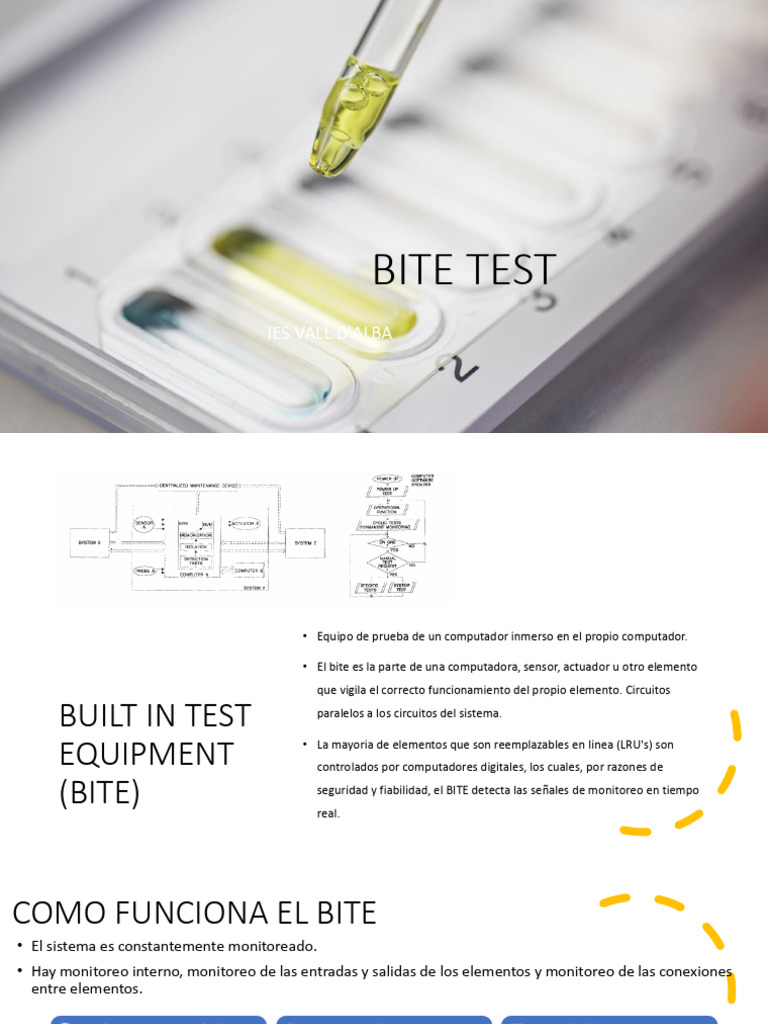 Bite Test | PDF | Informática | Ingeniería Informática