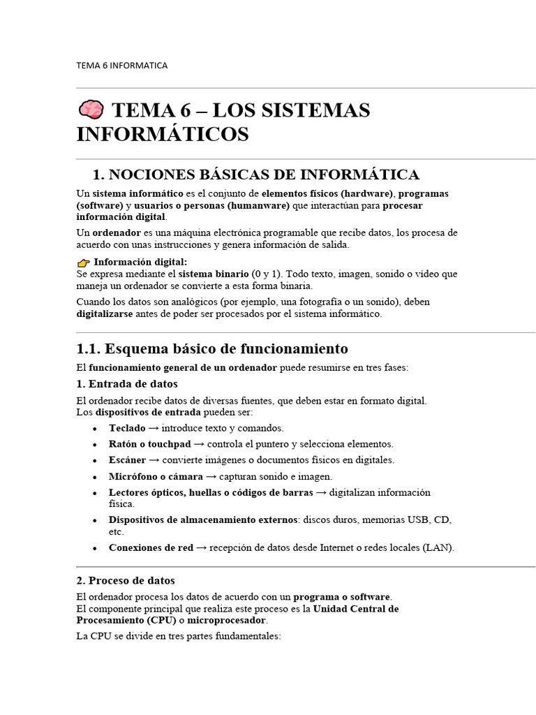 Tema 6 Informatica | PDF | Hardware de la computadora | Red de computadoras