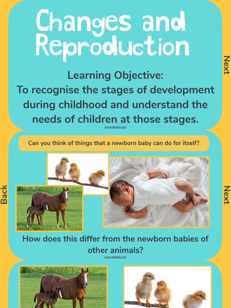Changes and Reproduction Slide3 | PDF | Infants | Childhood