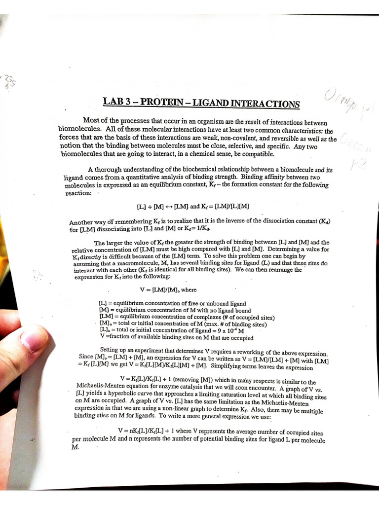 Lab3 Procedure | PDF
