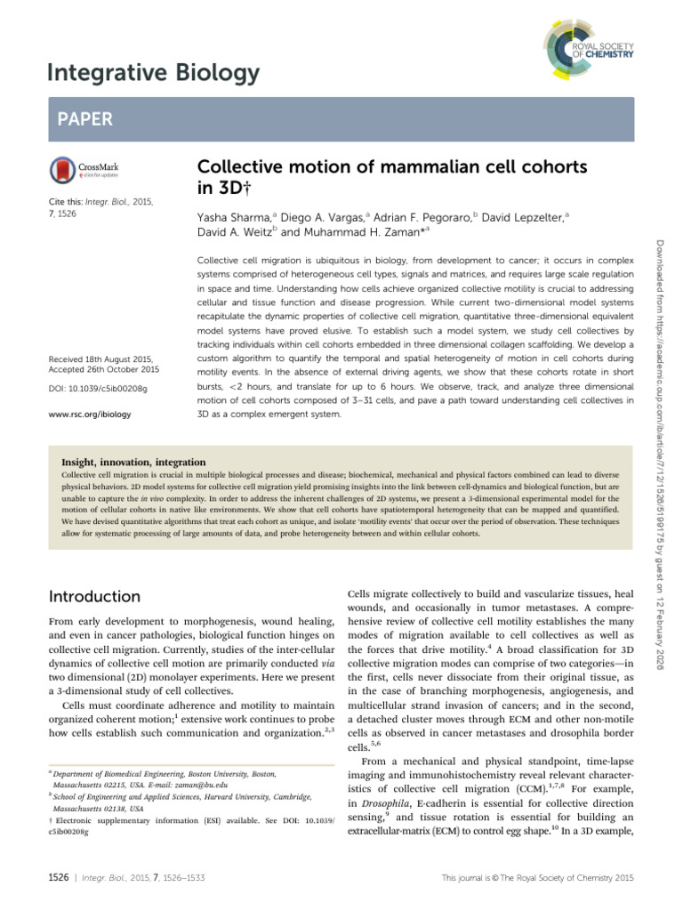 Collective Motion of Mammalian Cells | PDF | Morphogenesis | Metastasis