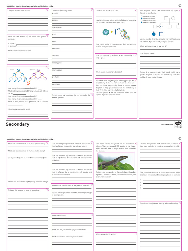 AQA Biology GCSE Unit 4.6 Inheritance Variation and Evolution Higher ...