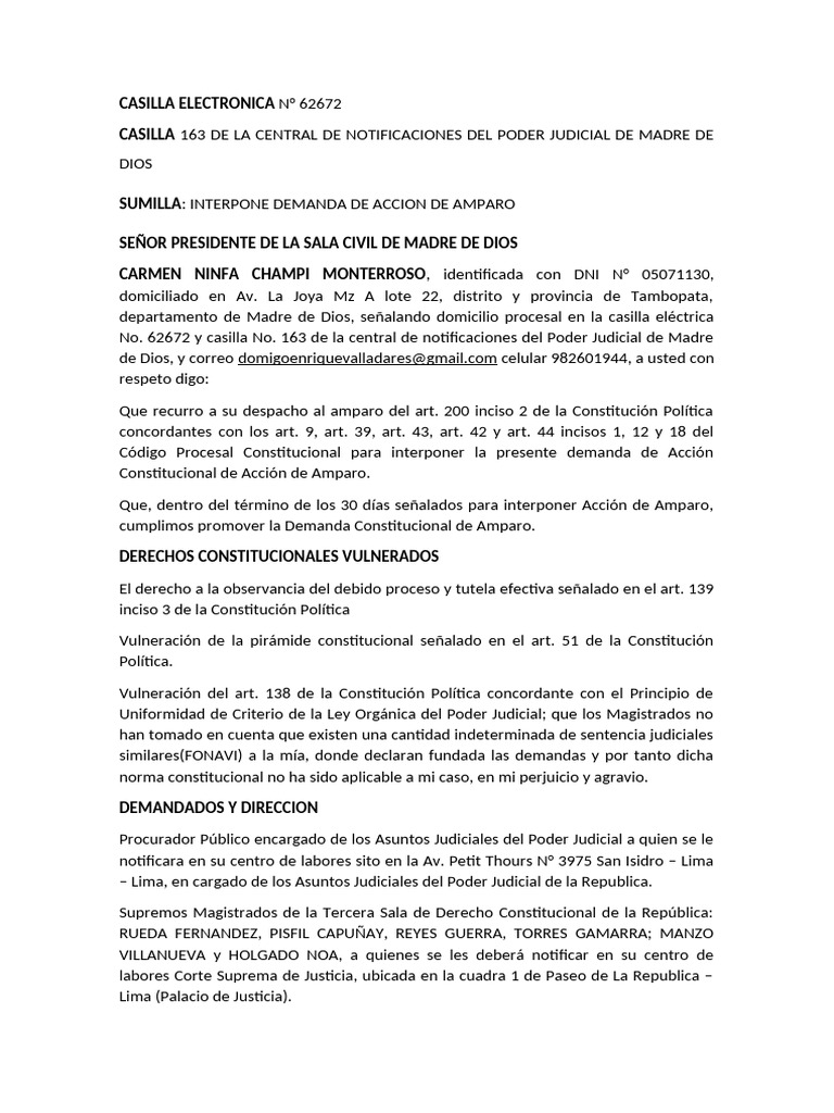 Demanda Accion de Amparo Carmen Champi | PDF | Caso de ley | Demanda ...