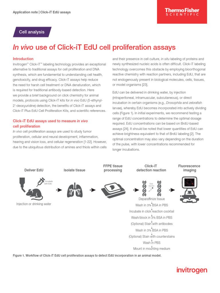 In Vivo Click It Edu Cell Proliferation App Note | PDF | Staining ...