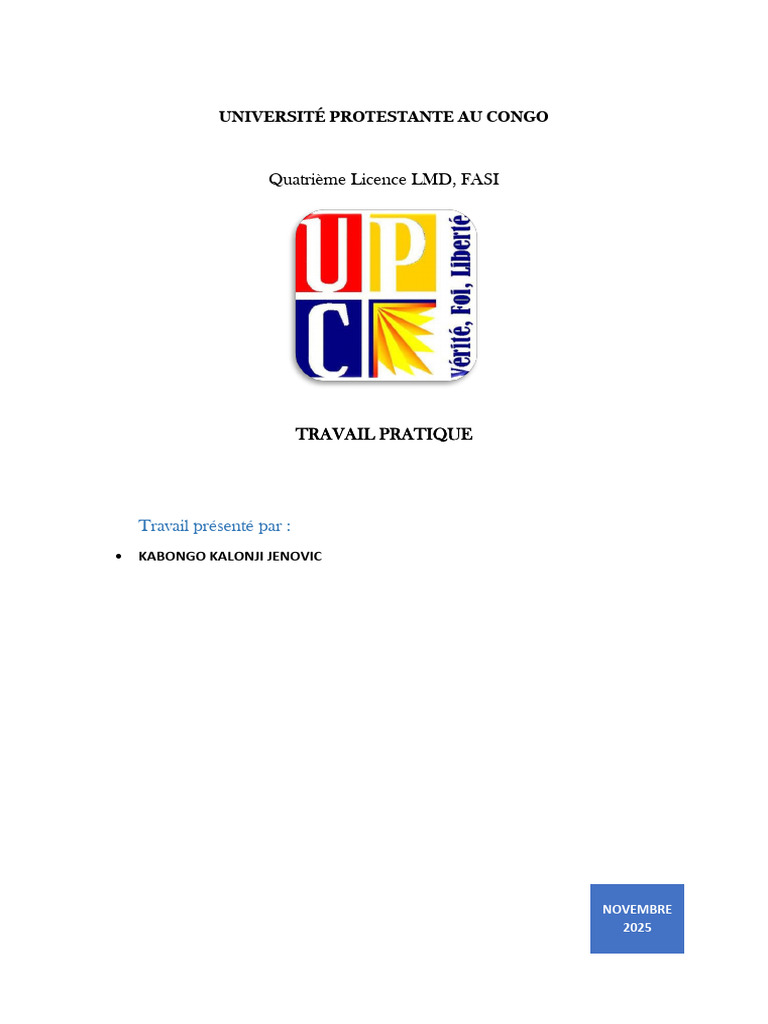 TP Kabongo | PDF | Intelligence artificielle | Intelligence (IA) et ...