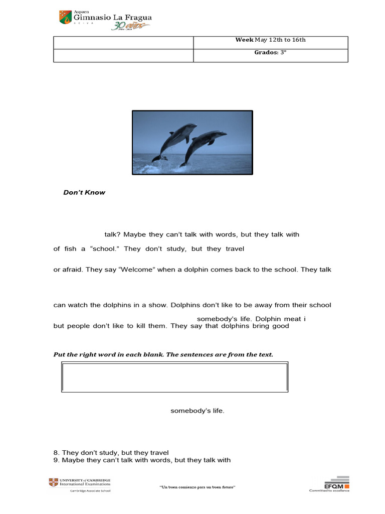 Grade 3rd | PDF | Dolphin