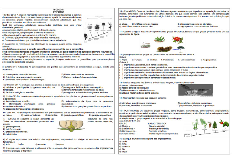 2 Exercício Angiospermas e Gimnospermas | PDF
