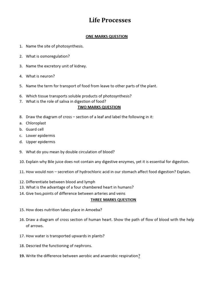Selfstudys Com File | PDF