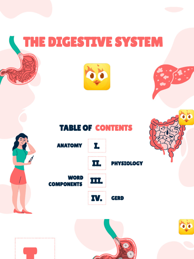 Digestive System | PDF