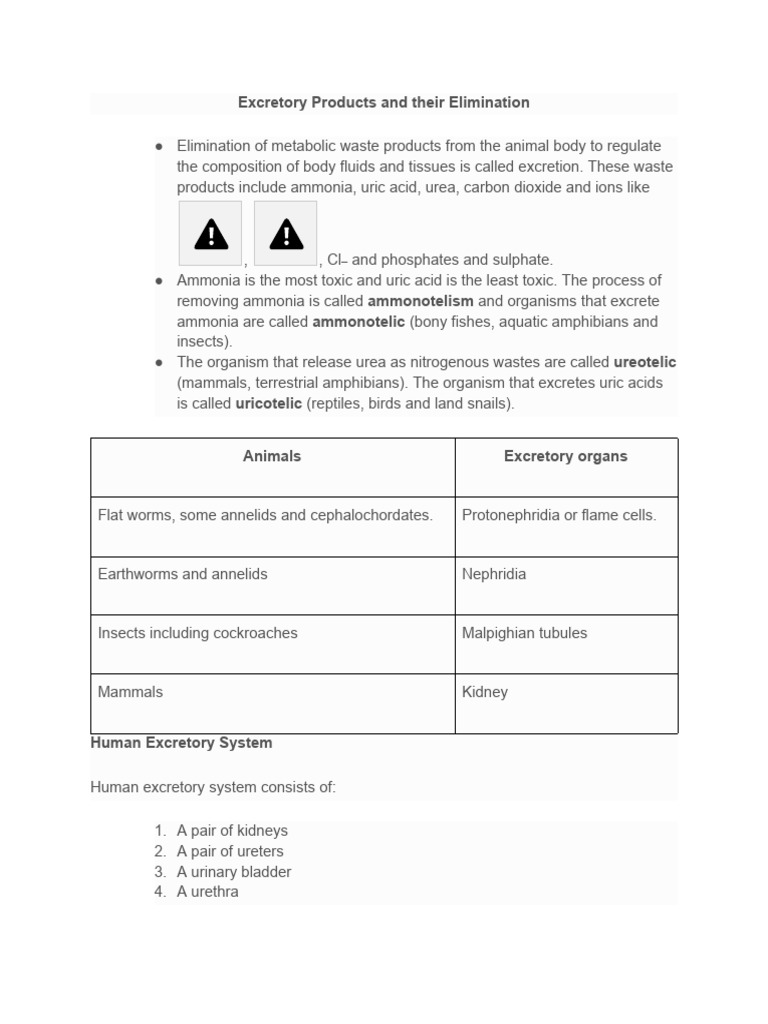 Excretory Products and Their Elimination | PDF | Kidney | Urinary System