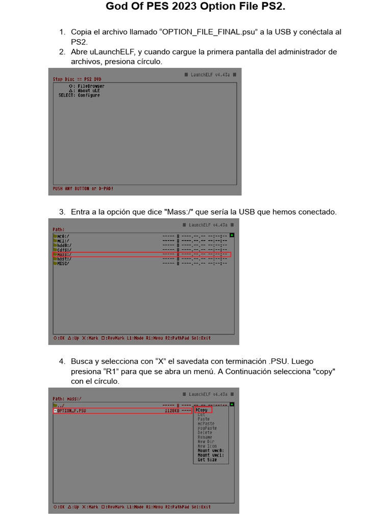 Instrucciones Option File PS2 | PDF