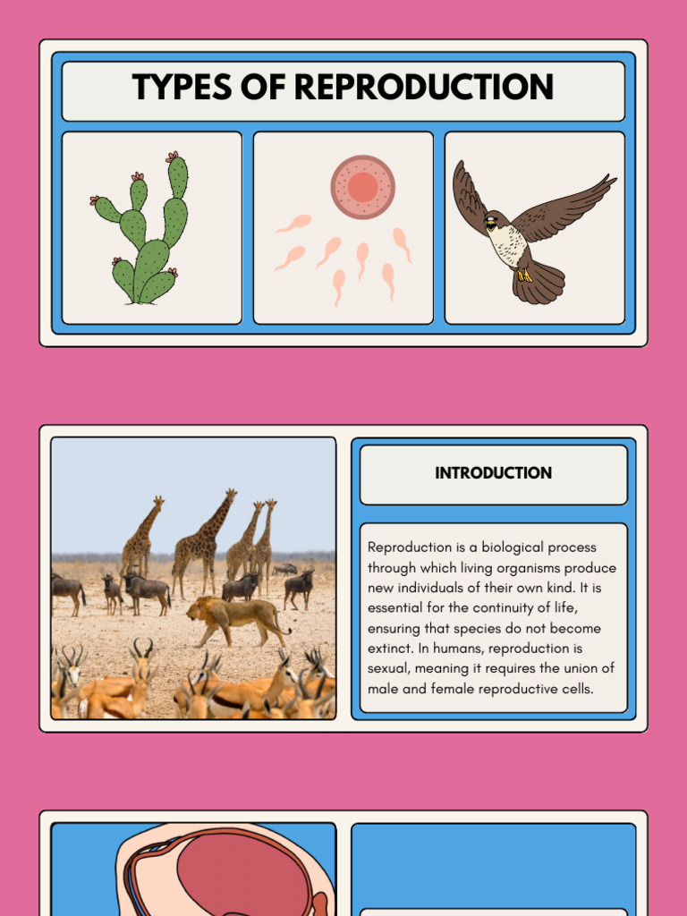 Animal&Plant Reproduce Compressed | PDF | Egg | Sexual Reproduction