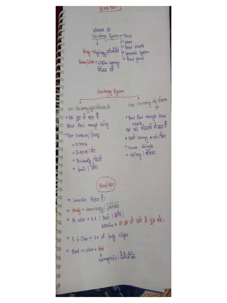 Class 1 | PDF
