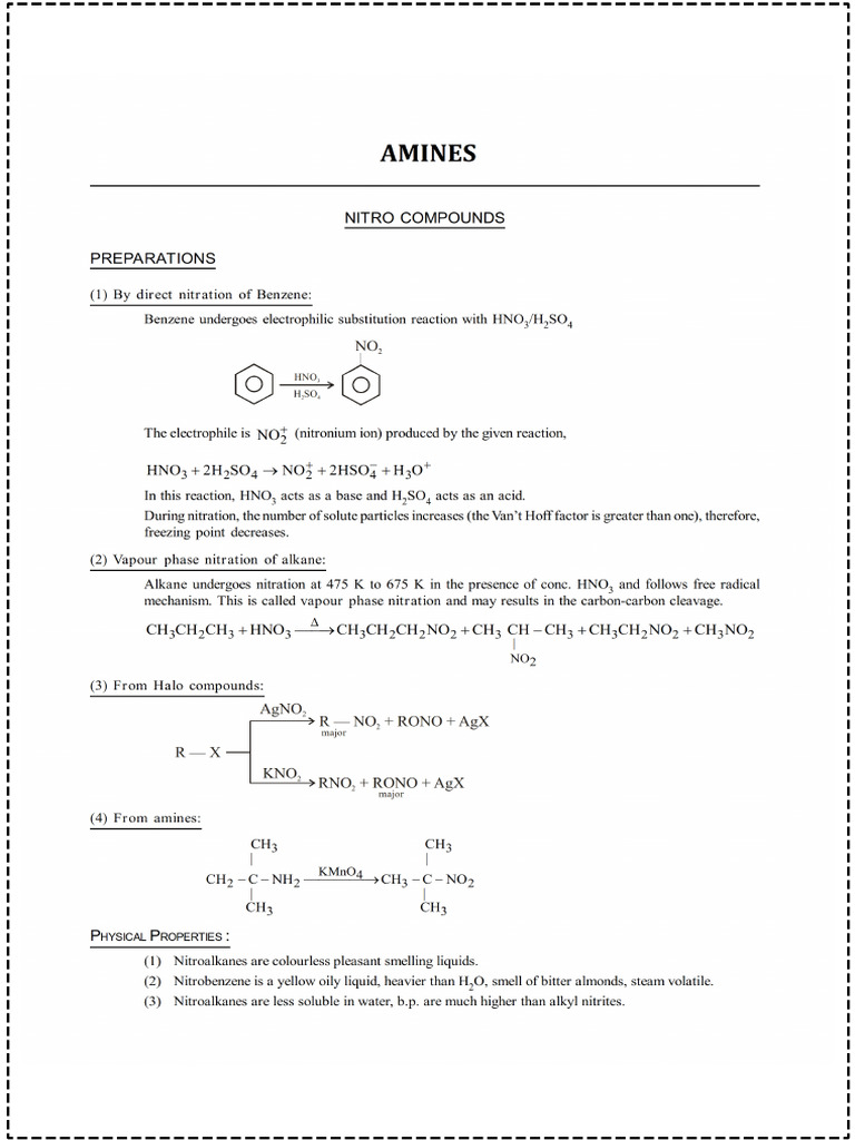 Amines - 241026 - 225045 | PDF