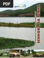 Diagnóstico social de Senhora da Penha