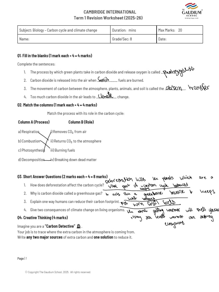 Carbon Cycle and Climate Change - Revision Worksheet - Term 1 | PDF ...