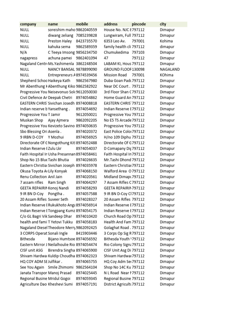Company Name Mobile Address Pincode City | PDF