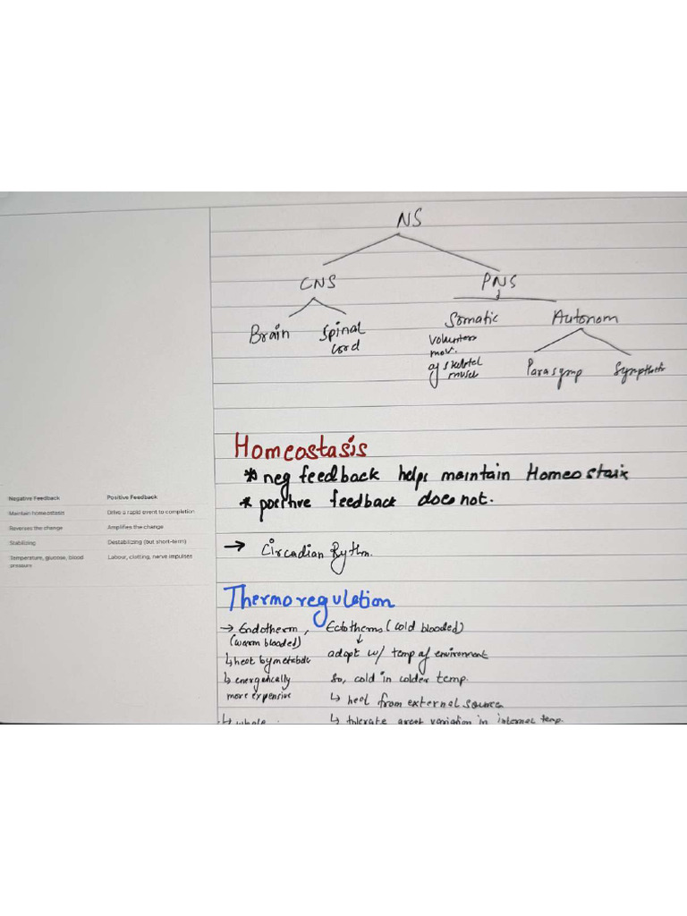 Homeostasis | PDF