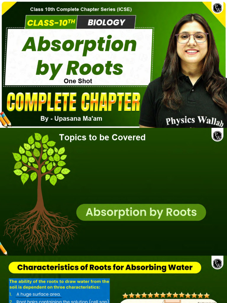 Absorption by Roots Class Notes | PDF