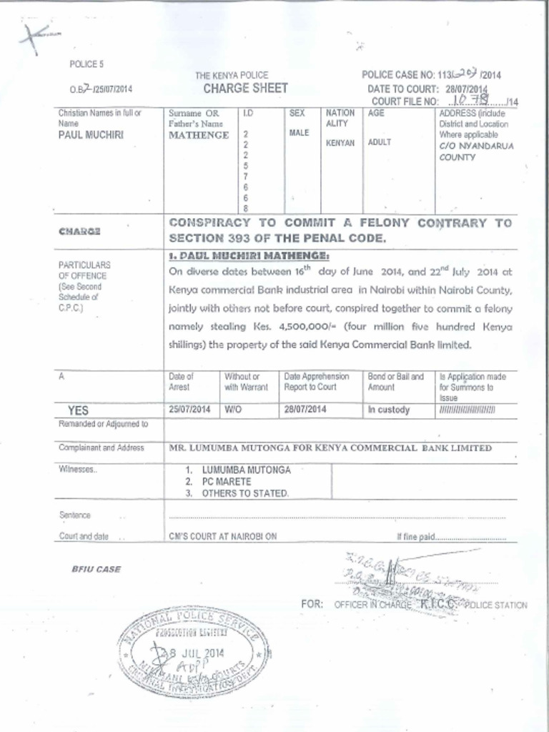 Charge Sheet 2 | PDF