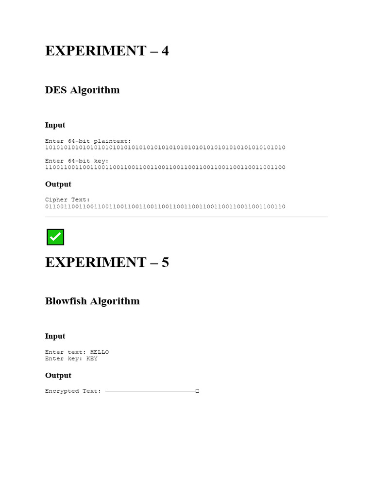 CNS LAB Input ^0Outputs | PDF