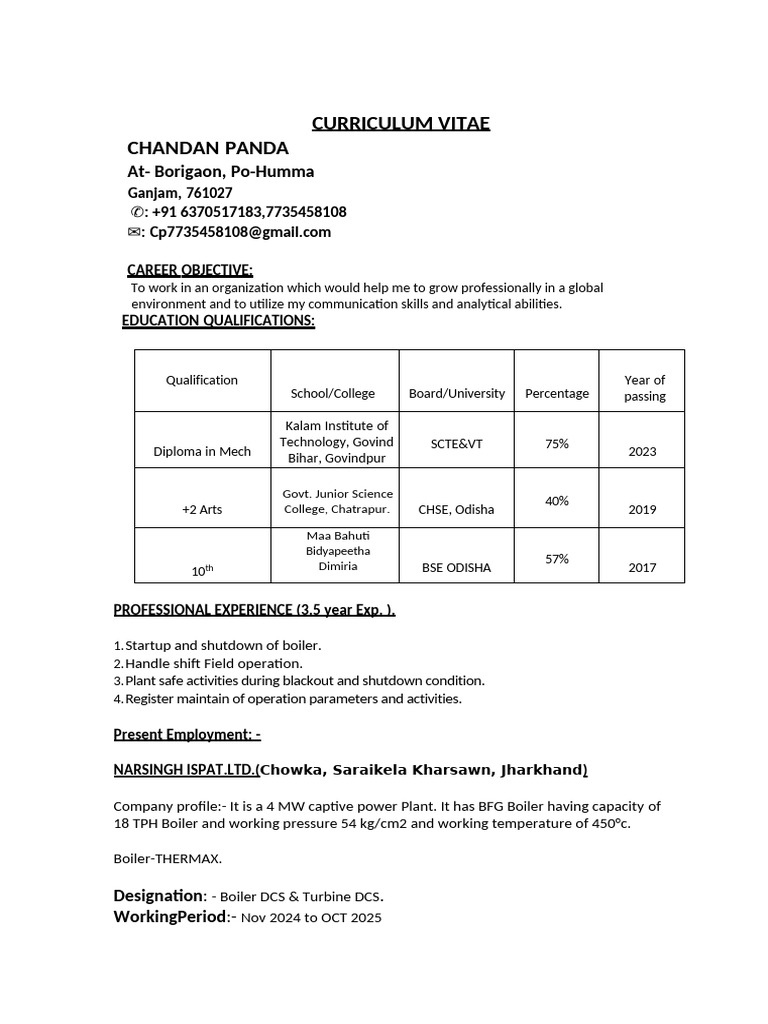 Chandan Boiler Field Curriculum Vitae | PDF | Energy Conversion ...